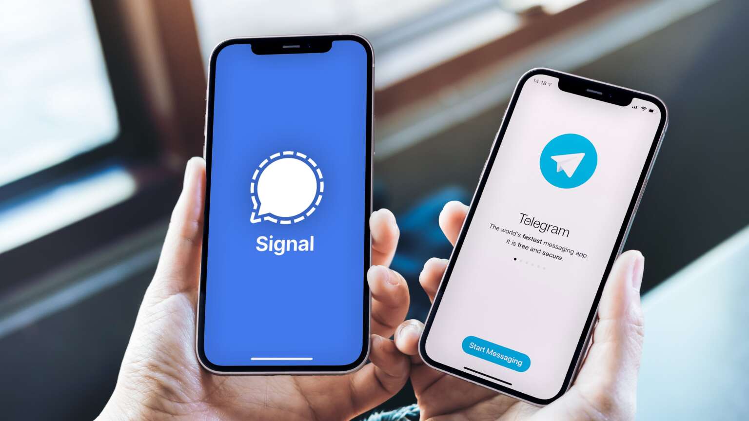 Signal vs Telegram